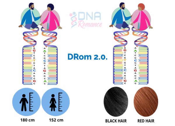 DRom2.0 Predicts Chemistry with Increased Accuracy and Efficiency