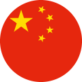中文 (简体)